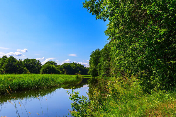 Small river flowing through the wild forest