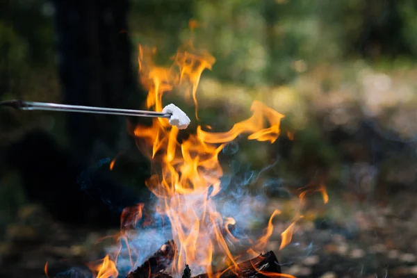 Marshmallow on a skewer on a campfire on vacation. Small bonfire on outdoor recreation