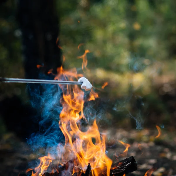 Marshmallow on a skewer on a campfire on vacation. Small bonfire on outdoor recreation