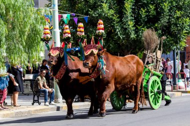 Selargius, İtalya - 9 Eylül 2018: 58 Edition antik Selargino düğün - Sardunya