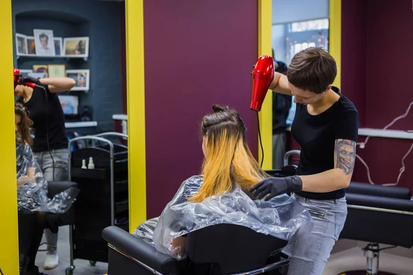 Професійне перукарське сушіння клієнтського волосся — стокове фото