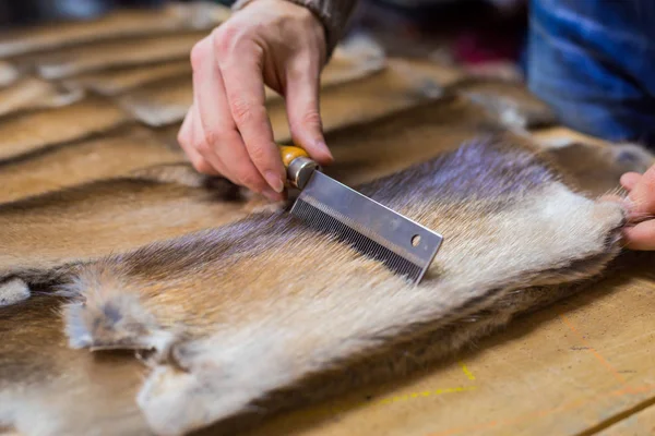 Skinner vizon kürklü deriyle çalışıyor.