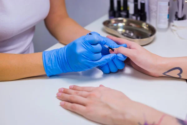 Esteticista profesional aplicando esmalte de uñas a uñas femeninas —  Fotos de Stock