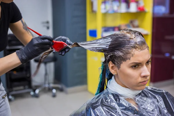 Cabeleireiro profissional colorir o cabelo da mulher cliente no estúdio — Fotografia de Stock