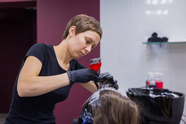 Cabeleireiro profissional colorir o cabelo da mulher cliente no estúdio — Fotografia de Stock