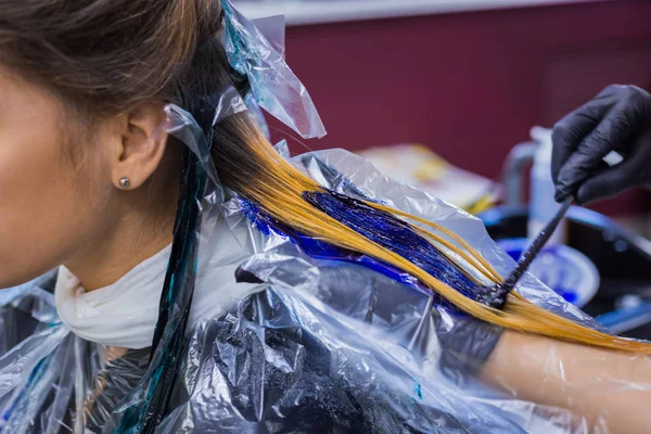 Profesyonel kuaför kadın istemcisinin stüdyoda saç boyama — Stok fotoğraf
