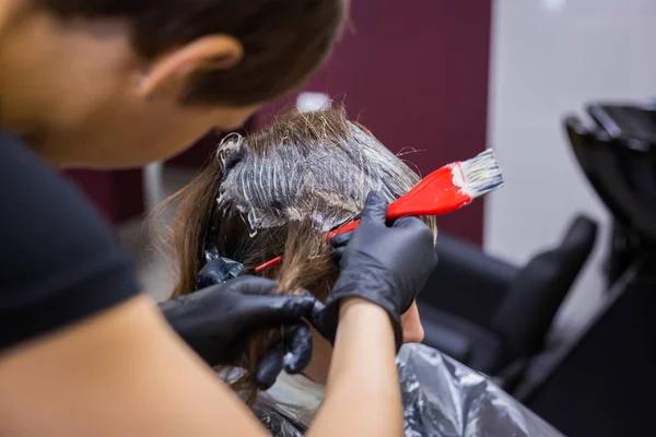 Peluquería profesional para colorear el cabello de la mujer cliente en el estudio —  Fotos de Stock