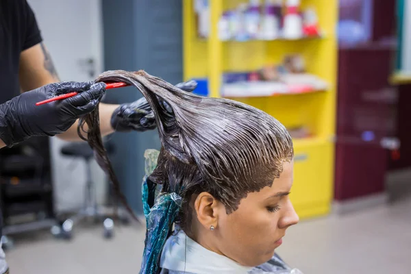 Professional hairdresser coloring hair of woman client at studio