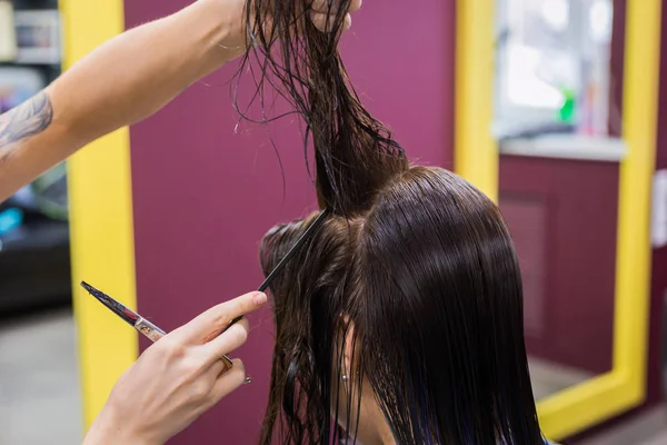 Cabeleireiro corte de cabelo de cliente mulher — Fotografia de Stock