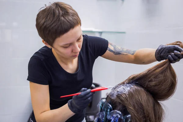 Peluquería profesional para colorear el cabello de la mujer cliente en el estudio —  Fotos de Stock