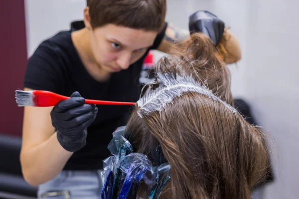 Peluquería profesional para colorear el cabello de la mujer cliente en el estudio —  Fotos de Stock
