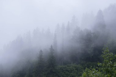 mountains.carpathian Dağları'nın görünümü
