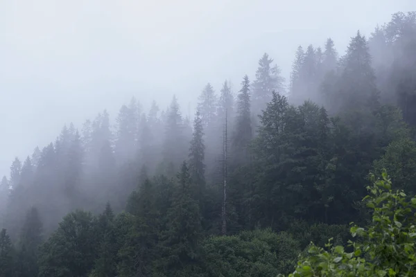 Mist Karpaten Rechtenvrije Stockfoto's