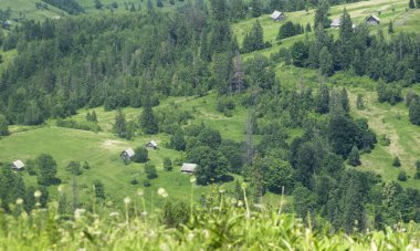 mountains.carpathian Dağları'nın görünümü