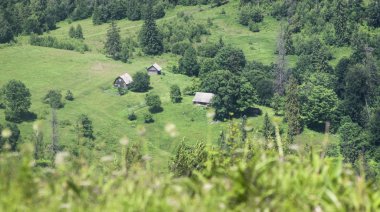 mountains.carpathian Dağları'nın görünümü