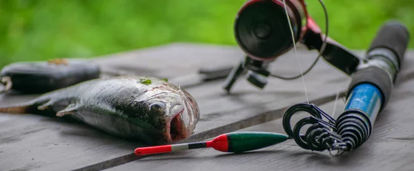 Pescar Río Trucha Pescado — Foto de Stock