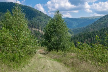 Karpat Dağları'nda yol