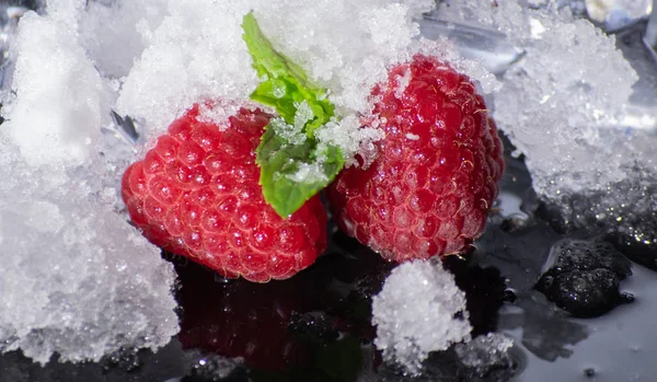 Frambuesa Una Roca Con Hielo Nieve — Foto de Stock