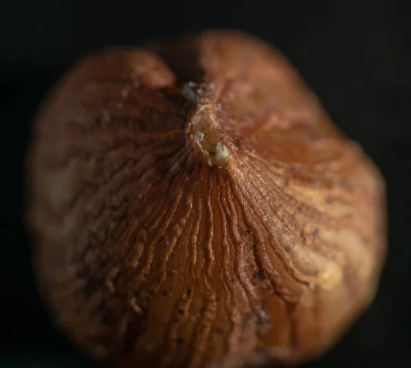 Macro photo of a nut on a black background