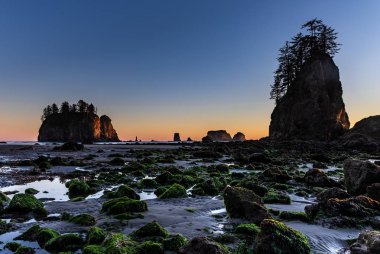 Düşük Tide. Bu görüntü düşük tide La Push, Washington ikinci plajda vuruldu.