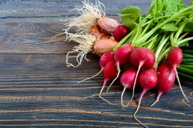 Yaz hasat kırmızı turp ve soğan. Büyüyen organik sebze. Büyük ham taze sulu Bahçe turp ve yeşil genç soğan yemek hazır karanlık kurullarında demet.