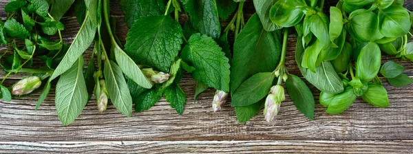 Tanaman Hijau Dan Tanaman Herbal Segar Yang Dipanen Dari Kebun — Stok Foto