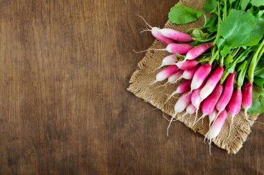 Yaz hasat kırmızı turp. Büyüyen organik sebze. Ham taze sulu Bahçe turp yemeye hazır ahşap arka plan üzerinde büyük bir grup. Portre.