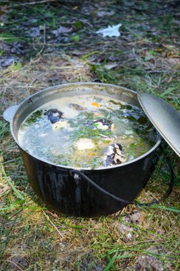 Balık çorbası kaynar kazan niteliğine tehlikede içinde. Çorba ateşte bir tencerede. Yakın çekim.