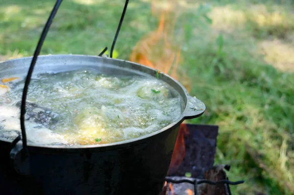 Fish Soup Boils Cauldron Stake Nature Soup Pot Fire Close — Stock Photo, Image