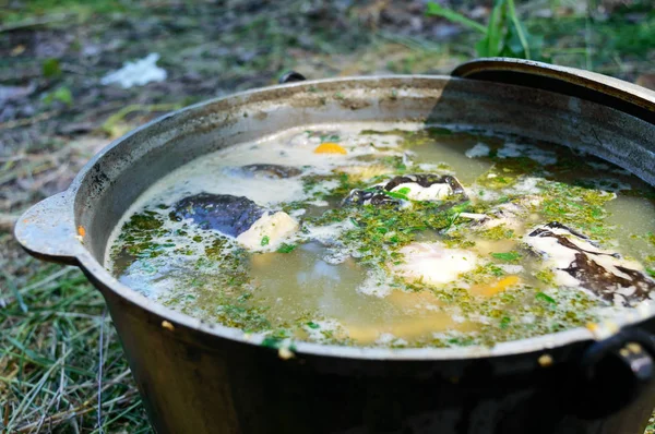 Sopa Pescado Hierve Caldero Hoguera Naturaleza Sopa Una Olla Fuego — Foto de Stock