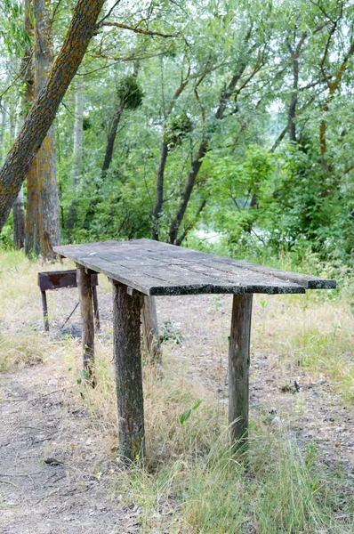 森林里的老式餐桌 在森林里被遗弃的野餐场所 选择性对焦 垂直视图 — 图库照片