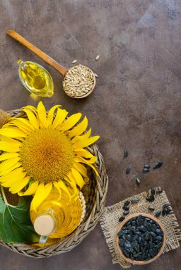 Büyük bir ayçiçeği, bir şişe yağı, tohum masanın üzerinde. Üstten görünüm. Ayçiçek yağı üretimi.