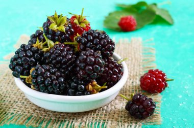 Parlak bir arka plan üzerinde seramik bir kase lezzetli olgun böğürtlen.