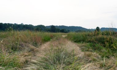 Alanında güzel bir akşam. Kırsal yol.
