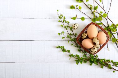 Tavuk ve bıldırcın yumurtası ile Sepet, beyaz ahşap arka plan üzerinde yeşil genç dalları. Üst te. Paskalya baharı arka planı.