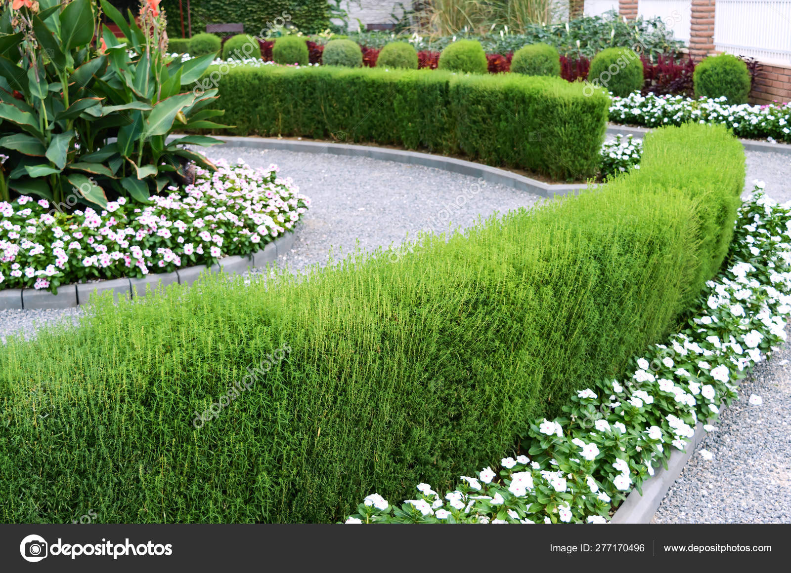 Belo Desenho Quintal Blooming Canteiros Flores Sebes Flores Arbustos  Ornamentais — Foto © iaroshenko.marina.gmail.com #277170496, image size:1600x1161