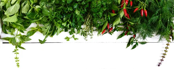 Organik Hijau Segar Herbal Pada Latar Belakang Kayu Putih Segar — Stok Foto