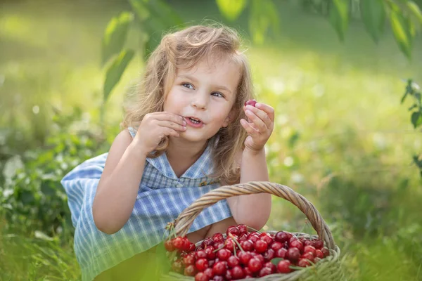 Dojrzałe i słodkie letnie jagody w sadzie — Zdjęcie stockowe