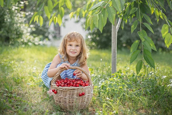 Rijpe en zoete zomer bessen in de boomgaard — Stockfoto