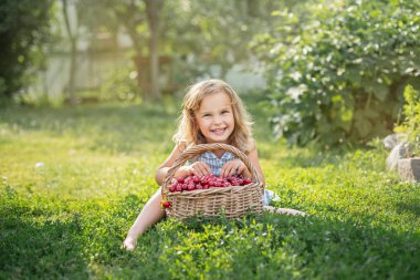 Meyve bahçesinde olgun ve tatlı yaz meyveleri