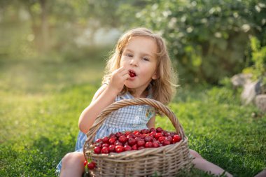 Meyve bahçesinde olgun ve tatlı yaz meyveleri