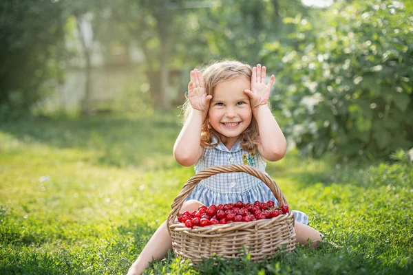 Rijpe en zoete zomer bessen in de boomgaard — Stockfoto