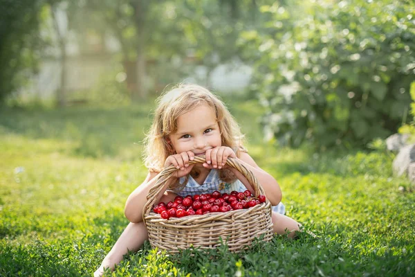 Meyve bahçesinde olgun ve tatlı yaz meyveleri