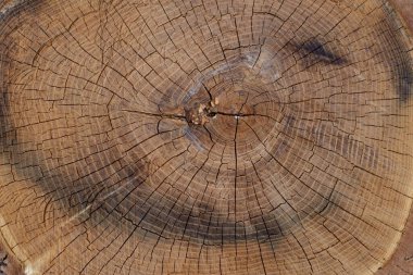 Ahşap kütük yığını dokusu, arkaplan kerestesi