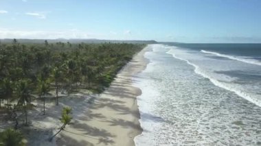 Dron hava görüntüsü dalgalar beyaz kumsalda kırılıyor. Kuzeydoğu Brezilya plajı. Ilhus, Bahia, Brezilya.