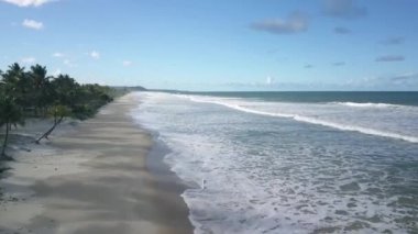 Dron hava görüntüsü dalgalar beyaz kumsalda kırılıyor. Kuzeydoğu Brezilya plajı. Ilhus, Bahia, Brezilya.