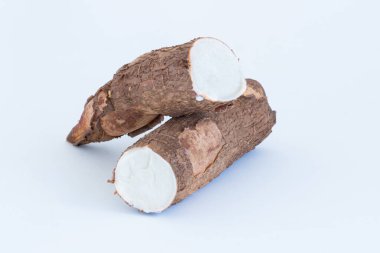 Beyaz arka planda izole edilmiş taze Cassava kökü. Boşluk kopyası