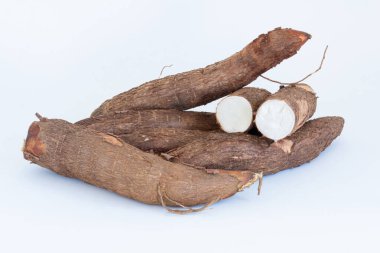 Beyaz arka planda izole edilmiş taze Cassava kökü. Boşluk kopyası