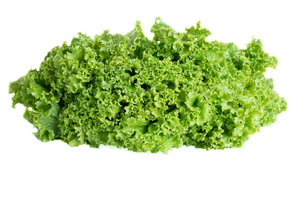 Friss Zöld Salátalevél Fehér Alapon Izolált Salátalevél Fénymásolási Hely — Stock Fotó