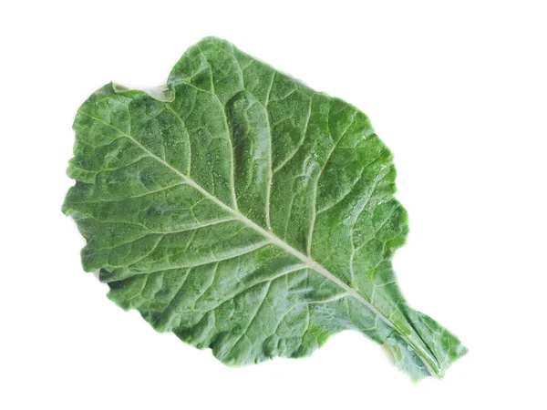Cabbage Leaf Isolated White Background Copy Space — Stock Photo, Image